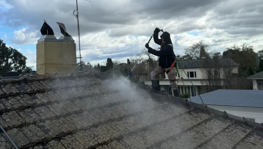 Roof Cleaning in Melbourne 2