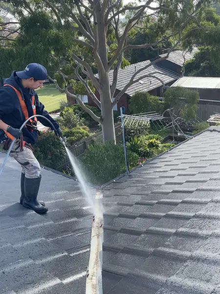 roof cleaning hampton 3188