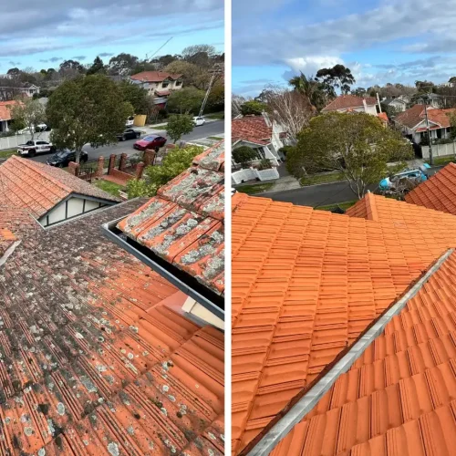 Roof Cleaning Process Melbourne