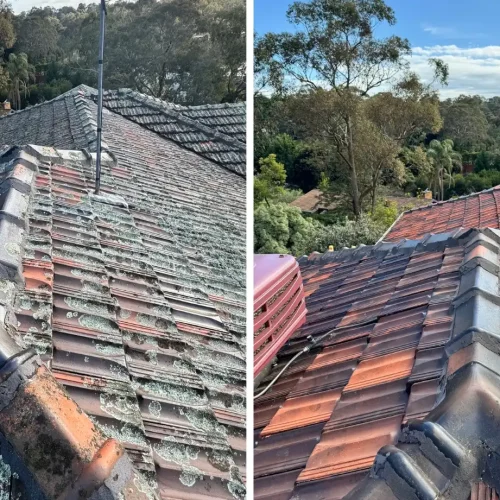 terracotta roof cleaning melbourne (1)